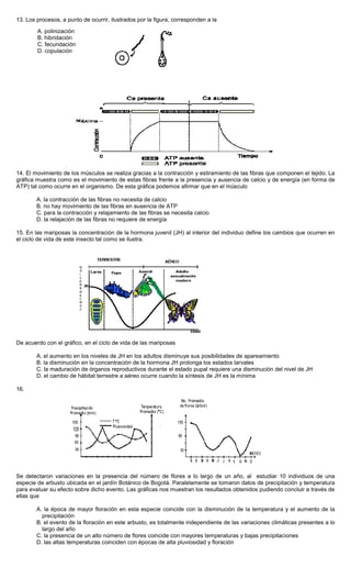 13. Los procesos, a punto de ocurrir, ilustrados por la figura, corresponden a la
14. El movimiento de los músculos se realiza gracias a la contracción y estiramiento de las fibras que componen el tejido. La
gráfica muestra como es el movimiento de estas fibras frente a la presencia y ausencia de calcio y de energía (en forma de
ATP) tal como ocurre en el organismo. De esta gráfica podemos afirmar que en el músculo
A. la contracción de las fibras no necesita de calcio
B. no hay movimiento de las fibras en ausencia de ATP
C. para la contracción y relajamiento de las fibras se necesita calcio
D. la relajación de las fibras no requiere de energía
15. En las mariposas la concentración de la hormona juvenil (JH) al interior del individuo define los cambios que ocurren en
el ciclo de vida de este insecto tal como se ilustra.
De acuerdo con el gráfico, en el ciclo de vida de las mariposas
A. el aumento en los niveles de JH en los adultos disminuye sus posibilidades de apareamiento
B. la disminución en la concentración de la hormona JH prolonga los estados larvales
C. la maduración de órganos reproductivos durante el estado pupal requiere una disminución del nivel de JH
D. el cambio de hábitat terrestre a aéreo ocurre cuando la síntesis de JH es la mínima
16.
Se detectaron variaciones en la presencia del número de flores a lo largo de un año, al estudiar 10 individuos de una
especie de arbusto ubicada en el jardín Botánico de Bogotá. Paralelamente se tomaron datos de precipitación y temperatura
para evaluar su efecto sobre dicho evento. Las gráficas nos muestran los resultados obtenidos pudiendo concluir a través de
ellas que
A. la época de mayor floración en esta especie coincide con la disminución de la temperatura y el aumento de la
precipitación
B. el evento de la floración en este arbusto, es totalmente independiente de las variaciones climáticas presentes a lo
largo del año
C. la presencia de un alto número de flores coincide con mayores temperaturas y bajas precipitaciones
D. las altas temperaturas coinciden con épocas de alta pluviosidad y floración
A. polinización
B. hibridación
C. fecundación
D. copulación
 