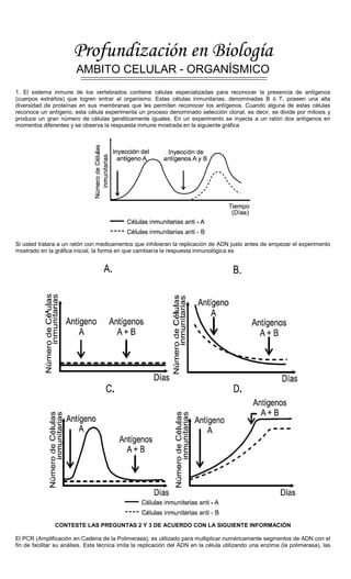Profundización en Biología
AMBITO CELULAR - ORGANÍSMICO
1. El sistema inmune de los vertebrados contiene células especializadas para reconocer la presencia de antígenos
(cuerpos extraños) que logren entrar al organismo. Estas células inmunitarias, denominadas B ó T, poseen una alta
diversidad de proteínas en sus membranas que les permiten reconocer los antígenos. Cuando alguna de estas células
reconoce un antígeno, esta célula experimenta un proceso denominado selección clonal, es decir, se divide por mitosis y
produce un gran número de células genéticamente iguales. En un experimento se inyecta a un ratón dos antígenos en
momentos diferentes y se observa la respuesta inmune mostrada en la siguiente gráfica
Si usted tratara a un ratón con medicamentos que inhibieran la replicación de ADN justo antes de empezar el experimento
mostrado en la gráfica inicial, la forma en que cambiaría la respuesta inmunológica es
CONTESTE LAS PREGUNTAS 2 Y 3 DE ACUERDO CON LA SIGUIENTE INFORMACIÓN
El PCR (Amplificación en Cadena de la Polimerasa), es utilizado para multiplicar numéricamente segmentos de ADN con el
fin de facilitar su análisis. Esta técnica imita la replicación del ADN en la célula utilizando una enzima (la polimerasa), las
 