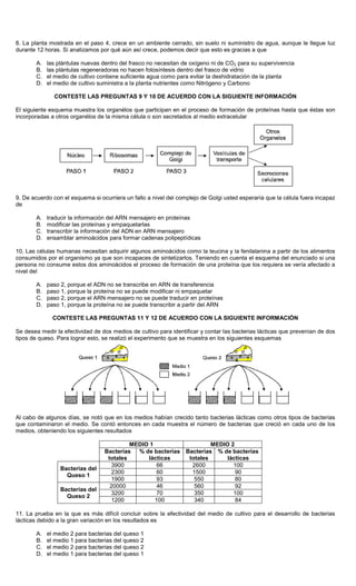 8. La planta mostrada en el paso 4, crece en un ambiente cerrado, sin suelo ni suministro de agua, aunque le llegue luz
durante 12 horas. Si analizamos por qué aún así crece, podemos decir que esto es gracias a que
A. las plántulas nuevas dentro del frasco no necesitan de oxígeno ni de CO2 para su supervivencia
B. las plántulas regeneradoras no hacen fotosíntesis dentro del frasco de vidrio
C. el medio de cultivo contiene suficiente agua como para evitar la deshidratación de la planta
D. el medio de cultivo suministra a la planta nutrientes como Nitrógeno y Carbono
CONTESTE LAS PREGUNTAS 9 Y 10 DE ACUERDO CON LA SIGUIENTE INFORMACIÓN
El siguiente esquema muestra los organélos que participan en el proceso de formación de proteínas hasta que éstas son
incorporadas a otros organélos de la misma célula o son secretados al medio extracelular
9. De acuerdo con el esquema si ocurriera un fallo a nivel del complejo de Golgi usted esperaría que la célula fuera incapaz
de
A. traducir la información del ARN mensajero en proteínas
B. modificar las proteínas y empaquetarlas
C. transcribir la información del ADN en ARN mensajero
D. ensamblar aminoácidos para formar cadenas polipeptídicas
10. Las células humanas necesitan adquirir algunos aminoácidos como la leucina y la fenilalanina a partir de los alimentos
consumidos por el organismo ya que son incapaces de sintetizarlos. Teniendo en cuenta el esquema del enunciado si una
persona no consume estos dos aminoácidos el proceso de formación de una proteína que los requiera se vería afectado a
nivel del
A. paso 2, porque el ADN no se transcribe en ARN de transferencia
B. paso 1, porque la proteína no se puede modificar ni empaquetar
C. paso 2, porque el ARN mensajero no se puede traducir en proteínas
D. paso 1, porque la proteína no se puede transcribir a partir del ARN
CONTESTE LAS PREGUNTAS 11 Y 12 DE ACUERDO CON LA SIGUIENTE INFORMACIÓN
Se desea medir la efectividad de dos medios de cultivo para identificar y contar las bacterias lácticas que prevenían de dos
tipos de queso. Para lograr esto, se realizó el experimento que se muestra en los siguientes esquemas
Al cabo de algunos días, se notó que en los medios habían crecido tanto bacterias lácticas como otros tipos de bacterias
que contaminaron el medio. Se contó entonces en cada muestra el número de bacterias que creció en cada uno de los
medios, obteniendo los siguientes resultados
MEDIO 1 MEDIO 2
Bacterias
totales
% de bacterias
lácticas
Bacterias
totales
% de bacterias
lácticas
3900 66 2600 100
2300 60 1500 90
Bacterias del
Queso 1
1900 93 550 80
20000 46 560 92
3200 70 350 100
Bacterias del
Queso 2
1200 100 340 84
11. La prueba en la que es más difícil concluir sobre la efectividad del medio de cultivo para el desarrollo de bacterias
lácticas debido a la gran variación en los resultados es
A. el medio 2 para bacterias del queso 1
B. el medio 1 para bacterias del queso 2
C. el medio 2 para bacterias del queso 2
D. el medio 1 para bacterias del queso 1
 