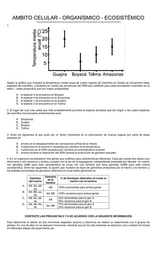 AMBITO CELULAR - ORGANÍSMICO - ECOSISTÉMICO
1.
Según la gráfica que muestra la temperatura media anual de cuatro lugares de Colombia en donde se encuentran estas
especies de mamífero, y teniendo en cuenta las secuencias del ARN que codifican para cada aminoácido mostrados en la
tabla 1, usted propondría que con mayor probabilidad
A. la especie 3 se encuentra en Boyacá
B. la especie 4 se encuentra en el Amazonas
C. la especie 1 se encuentra en la Guajira
D. la especie 2 se encuentra en el Tolima
2. El lugar del cual cree usted que más probablemente proviene la especie ancestral que dio origen a las cuatro especies
de mamífero mencionadas anteriormente sería
A. Amazonas
B. Guajira
C. Boyacá
D. Tolima
3. Entre los siguientes el que pudo ser un factor importante en la colonización de nuevos lugares por parte de estas
especies es
A. errores en el desplazamiento de cromosomas al final de la mitosis
B. mutaciones en la enzima X causadas por cambios en la temperatura
C. mutaciones en el ADN causados por cambios en la temperatura corporal
D. errores durante la replicación del ADN durante la producción de gametos sexuales
4. En un organismo se estudiaron dos genes que codifican para características diferentes. Cada gen posee dos alelos (uno
dominante y otro recesivo) y ambos cumplen con la ley de la segregación independiente postulada por Mendel. Un macho
con genotipo AaBb para esta característica se cruza con una hembra que tiene genotipo AABB para esta misma
característica. Entre las siguientes, la opción que muestra los tipos de gamentos producidos por el macho y la hembra, y
los posibles porcentajes de genotipos obtenidos al cruzar estos gamentos es
Gametos
del macho
Gametos
de la
hembra
% de fenotipos obtenidos al cruzar el
macho con la hembra
A. AB, Ab, aB,
ab
AB 100% dominantes para ambos genes
B. AA, BB, aa,
bb
AA, BB 100% recesivos para ambos genes
C. AB, Ab, aB,
ab
AB
50% dominantes para el gen A
50% recesivos para el gen B
D. AA, aB, Ab,
bb
AA, BB
75% dominantes para el gen A
25% recesivos para el gen B
CONTESTE LAS PREGUNTAS 5 Y 6 DE ACUERDO CON LA SIGUIENTE INFORMACIÓN
Para determinar el efecto de dos hormonas vegetales (auxina y citocinina) se realizó un experimento con 4 grupos de
plantas: En uno de ellos no se aplicaron hormonas, mientras que en los tres restantes se aplicaron una o ambas hormonas
en diferentes etapas del experimento así:
 