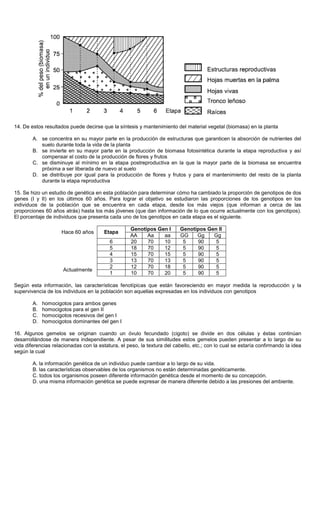 14. De estos resultados puede decirse que la síntesis y mantenimiento del material vegetal (biomasa) en la planta
A. se concentra en su mayor parte en la producción de estructuras que garanticen la absorción de nutrientes del
suelo durante toda la vida de la planta
B. se invierte en su mayor parte en la producción de biomasa fotosintética durante la etapa reproductiva y así
compensar el costo de la producción de flores y frutos
C. se disminuye al mínimo en la etapa postreproductiva en la que la mayor parte de la biomasa se encuentra
próxima a ser liberada de nuevo al suelo
D. se distribuye por igual para la producción de flores y frutos y para el mantenimiento del resto de la planta
durante la etapa reproductiva
15. Se hizo un estudio de genética en esta población para determinar cómo ha cambiado la proporción de genotipos de dos
genes (I y II) en los últimos 60 años. Para lograr el objetivo se estudiaron las proporciones de los genotipos en los
individuos de la población que se encuentra en cada etapa, desde los más viejos (que informan a cerca de las
proporciones 60 años atrás) hasta los más jóvenes (que dan información de lo que ocurre actualmente con los genotipos).
El porcentaje de individuos que presenta cada uno de los genotipos en cada etapa es el siguiente.
Genotipos Gen I Genotipos Gen II
Hace 60 años Etapa
AA Aa aa GG Gg Gg
6 20 70 10 5 90 5
5 18 70 12 5 90 5
4 15 70 15 5 90 5
3 13 70 13 5 90 5
2 12 70 18 5 90 5
Actualmente
1 10 70 20 5 90 5
Según esta información, las características fenotípicas que están favoreciendo en mayor medida la reproducción y la
supervivencia de los individuos en la población son aquellas expresadas en los individuos con genotipos
A. homocigotos para ambos genes
B. homocigotos para el gen II
C. homocigotos recesivos del gen I
D. homocigotos dominantes del gen I
16. Algunos gemelos se originan cuando un óvulo fecundado (cigoto) se divide en dos células y éstas continúan
desarrollándose de manera independiente. A pesar de sus similitudes estos gemelos pueden presentar a lo largo de su
vida diferencias relacionadas con la estatura, el peso, la textura del cabello, etc.; con lo cual se estaría confirmando la idea
según la cual
A. la información genética de un individuo puede cambiar a lo largo de su vida.
B. las características observables de los organismos no están determinadas genéticamente.
C. todos los organismos poseen diferente información genética desde el momento de su concepción.
D. una misma información genética se puede expresar de manera diferente debido a las presiones del ambiente.
 