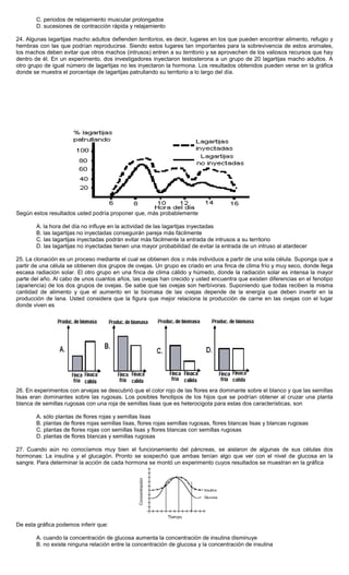 C. periodos de relajamiento muscular prolongados
D. sucesiones de contracción rápida y relajamiento
24. Algunas lagartijas macho adultos defienden territorios, es decir, lugares en los que pueden encontrar alimento, refugio y
hembras con las que podrían reproducirse. Siendo estos lugares tan importantes para la sobrevivencia de estos animales,
los machos deben evitar que otros machos (intrusos) entren a su territorio y se aprovechen de los valiosos recursos que hay
dentro de él. En un experimento, dos investigadores inyectaron testosterona a un grupo de 20 lagartijas macho adultos. A
otro grupo de igual número de lagartijas no les inyectaron la hormona. Los resultados obtenidos pueden verse en la gráfica
donde se muestra el porcentaje de lagartijas patrullando su territorio a lo largo del día.
Según estos resultados usted podría proponer que, más probablemente
A. la hora del día no influye en la actividad de las lagartijas inyectadas
B. las lagartijas no inyectadas conseguirán pareja más fácilmente
C. las lagartijas inyectadas podrán evitar más fácilmente la entrada de intrusos a su territorio
D. las lagartijas no inyectadas tienen una mayor probabilidad de evitar la entrada de un intruso al atardecer
25. La clonación es un proceso mediante el cual se obtienen dos o más individuos a partir de una sola célula. Suponga que a
partir de una célula se obtienen dos grupos de ovejas. Un grupo es criado en una finca de clima frío y muy seco, donde llega
escasa radiación solar. El otro grupo en una finca de clima cálido y húmedo, donde la radiación solar es intensa la mayor
parte del año. Al cabo de unos cuantos años, las ovejas han crecido y usted encuentra que existen diferencias en el fenotipo
(apariencia) de los dos grupos de ovejas. Se sabe que las ovejas son herbívoras. Suponiendo que todas reciben la misma
cantidad de alimento y que el aumento en la biomasa de las ovejas depende de la energía que deben invertir en la
producción de lana. Usted considera que la figura que mejor relaciona la producción de carne en las ovejas con el lugar
donde viven es
26. En experimentos con arvejas se descubrió que el color rojo de las flores era dominante sobre el blanco y que las semillas
lisas eran dominantes sobre las rugosas. Los posibles fenotipos de los hijos que se podrían obtener al cruzar una planta
blanca de semillas rugosas con una roja de semillas lisas que es heterocigota para estas dos características, son
A. sólo plantas de flores rojas y semillas lisas
B. plantas de flores rojas semillas lisas, flores rojas semillas rugosas, flores blancas lisas y blancas rugosas
C. plantas de flores rojas con semillas lisas y flores blancas con semillas rugosas
D. plantas de flores blancas y semillas rugosas
27. Cuando aún no conocíamos muy bien el funcionamiento del páncreas, se aislaron de algunas de sus células dos
hormonas: La insulina y el glucagón. Pronto se sospechó que ambas tenían algo que ver con el nivel de glucosa en la
sangre. Para determinar la acción de cada hormona se montó un experimento cuyos resultados se muestran en la gráfica
De esta gráfica podemos inferir que:
A. cuando la concentración de glucosa aumenta la concentración de insulina disminuye
B. no existe ninguna relación entre la concentración de glucosa y la concentración de insulina
 