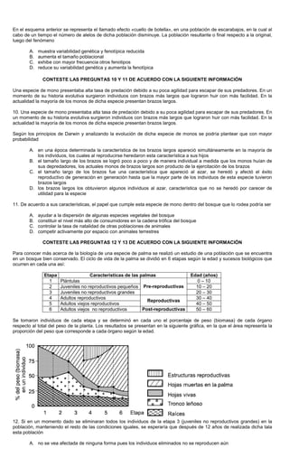 En el esquema anterior se representa el llamado efecto «cuello de botella», en una población de escarabajos, en la cual al
cabo de un tiempo el número de alelos de dicha población disminuye. La población resultante o final respecto a la original,
luego del fenómeno
A. muestra variabilidad genética y fenotípica reducida
B. aumenta el tamaño poblacional
C. exhibe con mayor frecuencia otros fenotipos
D. reduce su variabilidad genética y aumenta la fenotípica
CONTESTE LAS PREGUNTAS 10 Y 11 DE ACUERDO CON LA SIGUIENTE INFORMACIÓN
Una especie de mono presentaba alta tasa de predación debido a su poca agilidad para escapar de sus predadores. En un
momento de su historia evolutiva surgieron individuos con brazos más largos que lograron huir con más facilidad. En la
actualidad la mayoría de los monos de dicha especie presentan brazos largos.
10. Una especie de mono presentaba alta tasa de predación debido a su poca agilidad para escapar de sus predadores. En
un momento de su historia evolutiva surgieron individuos con brazos más largos que lograron huir con más facilidad. En la
actualidad la mayoría de los monos de dicha especie presentan brazos largos.
Según los principios de Darwin y analizando la evolución de dicha especie de monos se podría plantear que con mayor
probabilidad
A. en una época determinada la característica de los brazos largos apareció simultáneamente en la mayoría de
los individuos, los cuales al reproducirse heredaron esta característica a sus hijos
B. el tamaño largo de los brazos se logró poco a poco y de manera individual a medida que los monos huían de
sus depredadores, los actuales monos de brazos largos son producto de la ejercitación de los brazos
C. el tamaño largo de los brazos fue una característica que apareció al azar, se heredó y afectó el éxito
reproductivo de generación en generación hasta que la mayor parte de los individuos de esta especie tuvieron
brazos largos
D. los brazos largos los obtuvieron algunos individuos al azar, característica que no se heredó por carecer de
utilidad para la especie
11. De acuerdo a sus características, el papel que cumple esta especie de mono dentro del bosque que lo rodea podría ser
A. ayudar a la dispersión de algunas especies vegetales del bosque
B. constituir el nivel más alto de consumidores en la cadena trófica del bosque
C. controlar la tasa de natalidad de otras poblaciones de animales
D. competir activamente por espacio con animales terrestres
CONTESTE LAS PREGUNTAS 12 Y 13 DE ACUERDO CON LA SIGUIENTE INFORMACIÓN
Para conocer más acerca de la biología de una especie de palma se realizó un estudio de una población que se encuentra
en un bosque bien conservado. El ciclo de vida de la palma se dividió en 6 etapas según la edad y sucesos biológicos que
ocurren en cada una así:
Etapa Características de las palmas Edad (años)
1 Plántulas 0 – 10
2 Juveniles no reproductivos pequeños 10 – 20
3 Juveniles no reproductivos grandes
Pre-reproductivas
20 – 30
4 Adultos reproductivos 30 – 40
5 Adultos viejos reproductivos
Reproductivas
40 – 50
6 Adultos viejos no reproductivos Post-reproductivas 50 – 60
Se tomaron individuos de cada etapa y se determinó en cada uno el porcentaje de peso (biomasa) de cada órgano
respecto al total del peso de la planta. Los resultados se presentan en la siguiente gráfica, en la que el área representa la
proporción del peso que corresponde a cada órgano según la edad.
12. Si en un momento dado se eliminaran todos los individuos de la etapa 3 (juveniles no reproductivos grandes) en la
población, manteniendo el resto de las condiciones iguales, se esperaría que después de 12 años de realizada dicha tala
esta población
A. no se vea afectada de ninguna forma pues los individuos eliminados no se reproducen aún
 