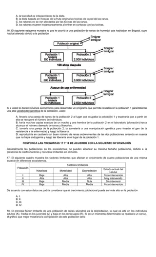 A. la toxicidad es independiente de la dieta.
B. la dieta basada en moscas de la fruta origina las toxinas de la piel de las ranas.
C. los ratones no se ven afectados por las toxinas de las ranas.
D. los ratones mueren instantáneamente al entrar en contacto con las toxinas.
16. El siguiente esquema muestra lo que le ocurrió a una población de ranas de humedal que habitaban en Bogotá, cuyo
hábitat alterado dividió a la población
Si a usted le dieran recursos económicos para desarrollar un programa que permita restablecer la población 1 garantizando
una alta variabilidad genética de la población, usted
A. llevaría una pareja de ranas de la población 2 al lugar que ocupaba la población 1 y esperaría que a partir de
ella se recupere el número de individuos.
B. haría muchas copias exactas de un macho y una hembra de la población 2 en el laboratorio (clonación) hasta
alcanzar el número deseado de ranas y liberarlas.
C. tomaría una pareja de la población 2, la sometería a una manipulación genética para insertar el gen de la
resistencia a la enfermedad y luego la liberaría.
D. reproduciría en cautiverio un buen número de ranas sobrevivientes de las dos poblaciones teniendo en cuenta
que no haya endogamia y luego las liberaría en el lugar de la población 1.
RESPONDA LAS PREGUNTAS 17 Y 18 DE ACUERDO CON LA SIGUIENTE INFORMACIÓN
Generalmente las poblaciones en los ecosistemas, no pueden alcanzar su máximo tamaño poblacional, debido a la
presencia de ciertos factores y recursos limitantes en el medio.
17. El siguiente cuadro muestra los factores limitantes que afectan el crecimiento de cuatro poblaciones de una misma
especie en diferentes ecosistemas.
Factores limitantes
Población
Natalidad Mortalidad Depredación
Estado actual del
hábitat
I Baja Alta Alta Poco intervenido
II Alta Alta Alta Muy intervenido
III Baja Media Nula Sin intervenir
IV Baja Media Media Poco intervenido
De acuerdo con estos datos se podría considerar que el crecimiento poblacional puede ser más alto en la población
A. I.
B. II.
C. III.
D. IV.
18. El principal factor limitante de una población de ranas silvestres es la depredación, la cual es alta en los individuos
adultos (A), media en los juveniles (J) y baja en los renacuajos (R). Si en un momento determinado se realizara un censo,
el gráfico que mejor mostraría la composición de esta población sería
 