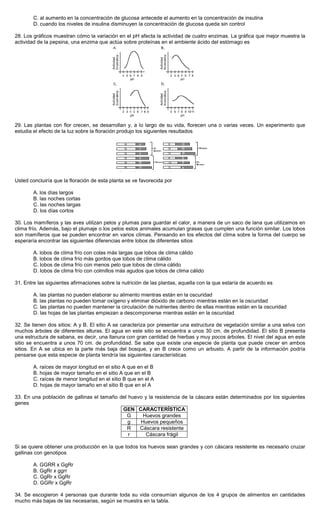 C. al aumento en la concentración de glucosa antecede el aumento en la concentración de insulina
D. cuando los niveles de insulina disminuyen la concentración de glucosa queda sin control
28. Los gráficos muestran cómo la variación en el pH afecta la actividad de cuatro enzimas. La gráfica que mejor muestra la
actividad de la pepsina, una enzima que actúa sobre proteínas en el ambiente ácido del estómago es
29. Las plantas con flor crecen, se desarrollan y, a lo largo de su vida, florecen una o varias veces. Un experimento que
estudia el efecto de la luz sobre la floración produjo los siguientes resultados
Usted concluiría que la floración de esta planta se ve favorecida por
A. los días largos
B. las noches cortas
C. las noches largas
D. los días cortos
30. Los mamíferos y las aves utilizan pelos y plumas para guardar el calor, a manera de un saco de lana que utilizamos en
clima frío. Además, bajo el plumaje o los pelos estos animales acumulan grasas que cumplen una función similar. Los lobos
son mamíferos que se pueden encontrar en varios climas. Pensando en los efectos del clima sobre la forma del cuerpo se
esperaría encontrar las siguientes diferencias entre lobos de diferentes sitios
A. lobos de clima frío con colas más largas que lobos de clima cálido
B. lobos de clima frío más gordos que lobos de clima cálido
C. lobos de clima frío con menos pelo que lobos de clima cálido
D. lobos de clima frío con colmillos más agudos que lobos de clima cálido
31. Entre las siguientes afirmaciones sobre la nutrición de las plantas, aquella con la que estaría de acuerdo es
A. las plantas no pueden elaborar su alimento mientras están en la oscuridad
B. las plantas no pueden tomar oxígeno y eliminar dióxido de carbono mientras están en la oscuridad
C. las plantas no pueden mantener la circulación de nutrientes dentro de ellas mientras están en la oscuridad
D. las hojas de las plantas empiezan a descomponerse mientras están en la oscuridad
32. Se tienen dos sitios: A y B. El sitio A se caracteriza por presentar una estructura de vegetación similar a una selva con
muchos árboles de diferentes alturas. El agua en este sitio se encuentra a unos 30 cm. de profundidad. El sitio B presenta
una estructura de sabana, es decir, una llanura con gran cantidad de hierbas y muy pocos árboles. El nivel del agua en este
sitio se encuentra a unos 70 cm. de profundidad. Se sabe que existe una especie de planta que puede crecer en ambos
sitios. En A se ubica en la parte más baja del bosque, y en B crece como un arbusto. A partir de la información podría
pensarse que esta especie de planta tendría las siguientes características
A. raíces de mayor longitud en el sitio A que en el B
B. hojas de mayor tamaño en el sitio A que en el B
C. raíces de menor longitud en el sitio B que en el A
D. hojas de mayor tamaño en el sitio B que en el A
33. En una población de gallinas el tamaño del huevo y la resistencia de la cáscara están determinados por los siguientes
genes
GEN CARACTERÍSTICA
G Huevos grandes
g Huevos pequeños
R Cáscara resistente
r Cáscara frágil
Si se quiere obtener una producción en la que todos los huevos sean grandes y con cáscara resistente es necesario cruzar
gallinas con genotipos
A. GGRR x GgRr
B. GgRr x ggrr
C. GgRr x GgRr
D. GGRr x GgRr
34. Se escogieron 4 personas que durante toda su vida consumían algunos de los 4 grupos de alimentos en cantidades
mucho más bajas de las necesarias, según se muestra en la tabla.
 