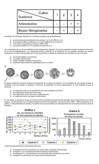 Al analizar los resultados después de un tiempo se espera que probablemente
A. ocurra producción de proteína en los cultivos 3 y 4 y de ARN en 2 y 4
B. se produzcan ADN y proteínas en 2 y 4 pero ARN sólo en el cultivo 4
C. en el cultivo 3 se produzca proteína, ADN y ARN
D. se produzca ARN en 2 y 4 y proteína únicamente en 4
19. La penicilina es uno de los antibióticos más ampliamente utilizados. Su acción específica consiste en evitar la formación
de la red de peptidoglucano, un compuesto químico esencial en la estructura de las paredes celulares de muchos
organismos. La razón más probable por la cual la penicilina no afecta las células de los mamíferos es por que éstas
A. son impermeables a la penicilina
B. no poseen pared celular
C. poseen paredes celulares muy gruesas
D. presentan baja cantidad de peptidoglucano en su pared
20.
La figura muestra los primeros estadios del desarrollo de un cigoto de mamífero. Si en el estadio de dos células sucede un
accidente y las dos células se separan y continúan su desarrollo en forma independiente, lo más probable es que se
produzca
A. un organismo sano y otro de diferente sexo que no llegaría a término
B. dos organismos sanos del mismo sexo
C. dos organismos sanos del mismo o diferente sexo
D. un organismos pero con alguna malformación
21. Se realizó un estudio en el que se contó el número de plantas jóvenes de tres especies que se desarrollan en el mismo
bosque. Las fluctuaciones en el tamaño poblacional de las tres especies durante los años 1990 - 1996 se observan en el
gráfico 1. Adicionalmente se muestra una gráfica en la que se observa el comportamiento de las lluvias durante los años de
muestreo
A partir de esta información usted podría decir que
A. las especies I y H se reproducen con mayor éxito en épocas más húmedas
B. la especie J no se reproduce durante las épocas más lluviosas
C. las especies H y J se reproducen con mayor éxito bajo condiciones muy secas
D. la especie I se reproduce con mayor éxito en épocas secas
Tiempo (Años)
 