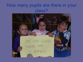 How many pupils are there in your class? Rosa Lucía Fausto 