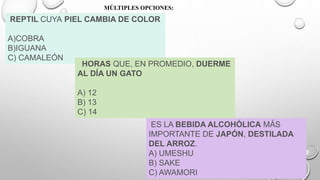 MÚLTIPLES OPCIONES:
REPTIL CUYA PIEL CAMBIA DE COLOR
A)COBRA
B)IGUANA
C) CAMALEÓN
HORAS QUE, EN PROMEDIO, DUERME
AL DÍA UN GATO
A) 12
B) 13
C) 14
ES LA BEBIDA ALCOHÓLICA MÁS
IMPORTANTE DE JAPÓN, DESTILADA
DEL ARROZ.
A) UMESHU
B) SAKE
C) AWAMORI
 