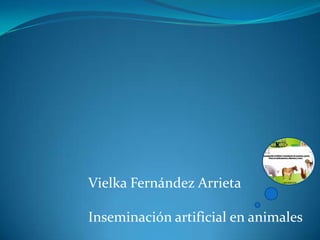 Vielka Fernández Arrieta  Inseminación artificial en animales  