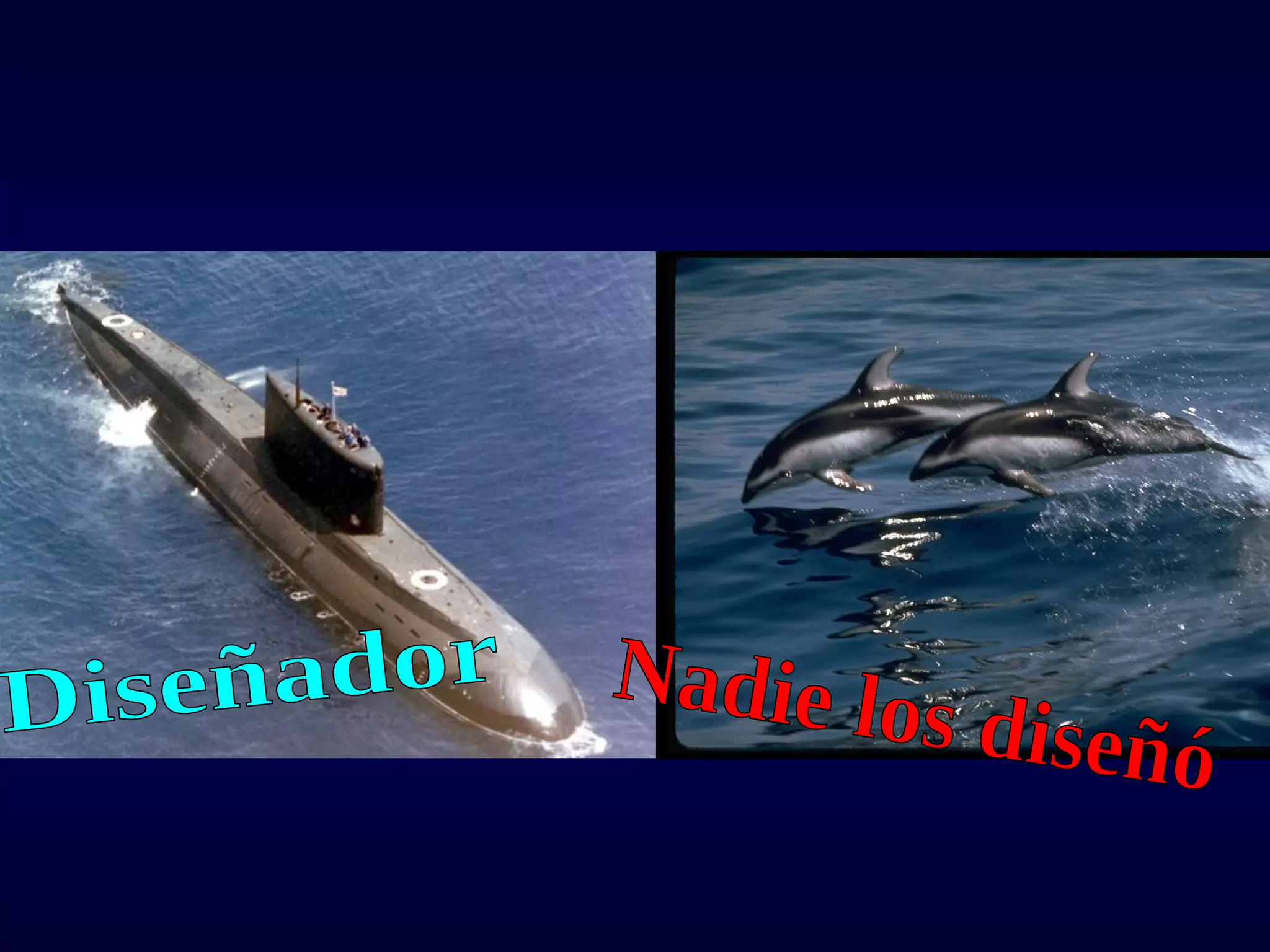 Diseñador Nadie los diseñó 