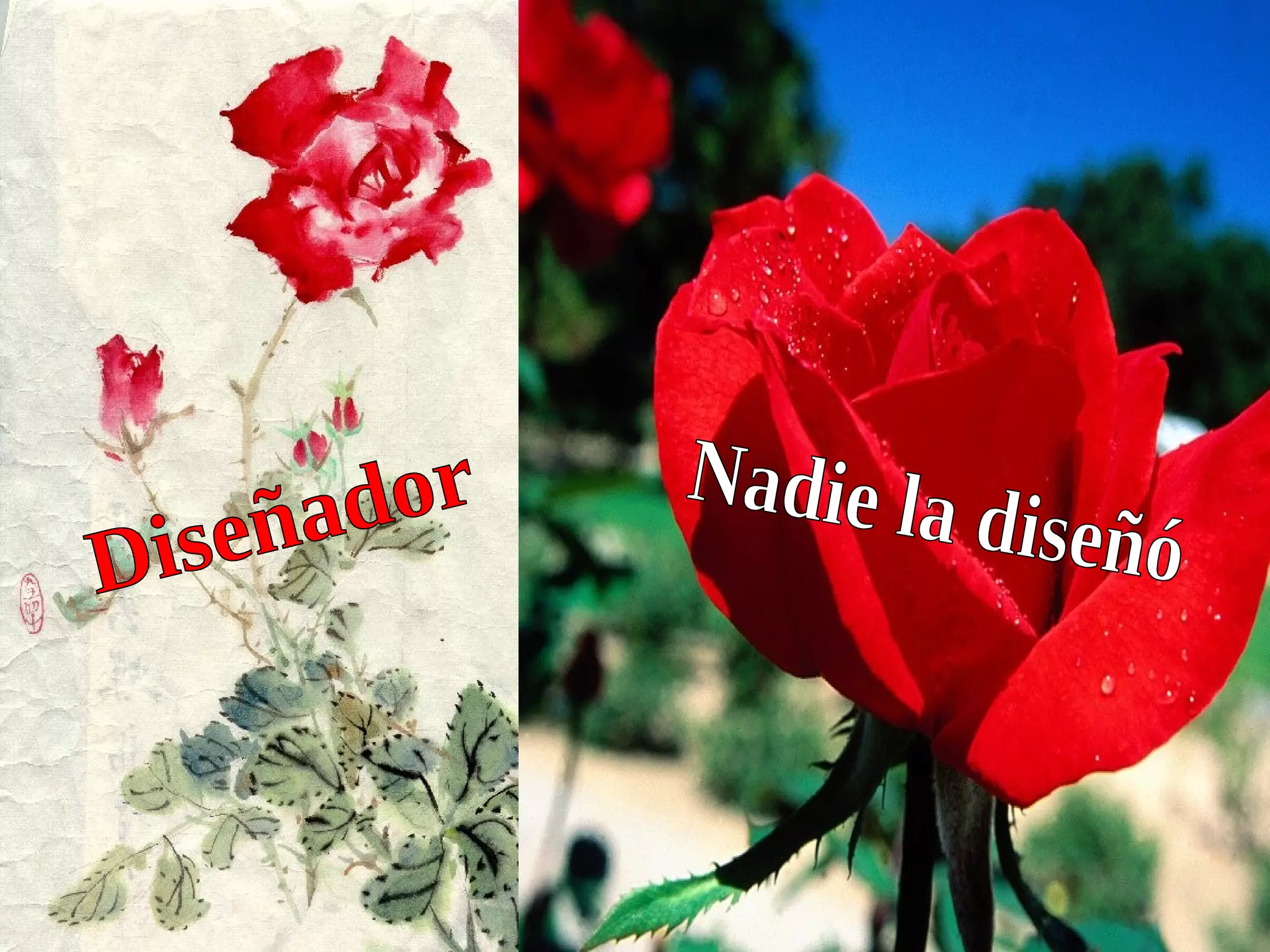 Diseñador Nadie la diseñó 