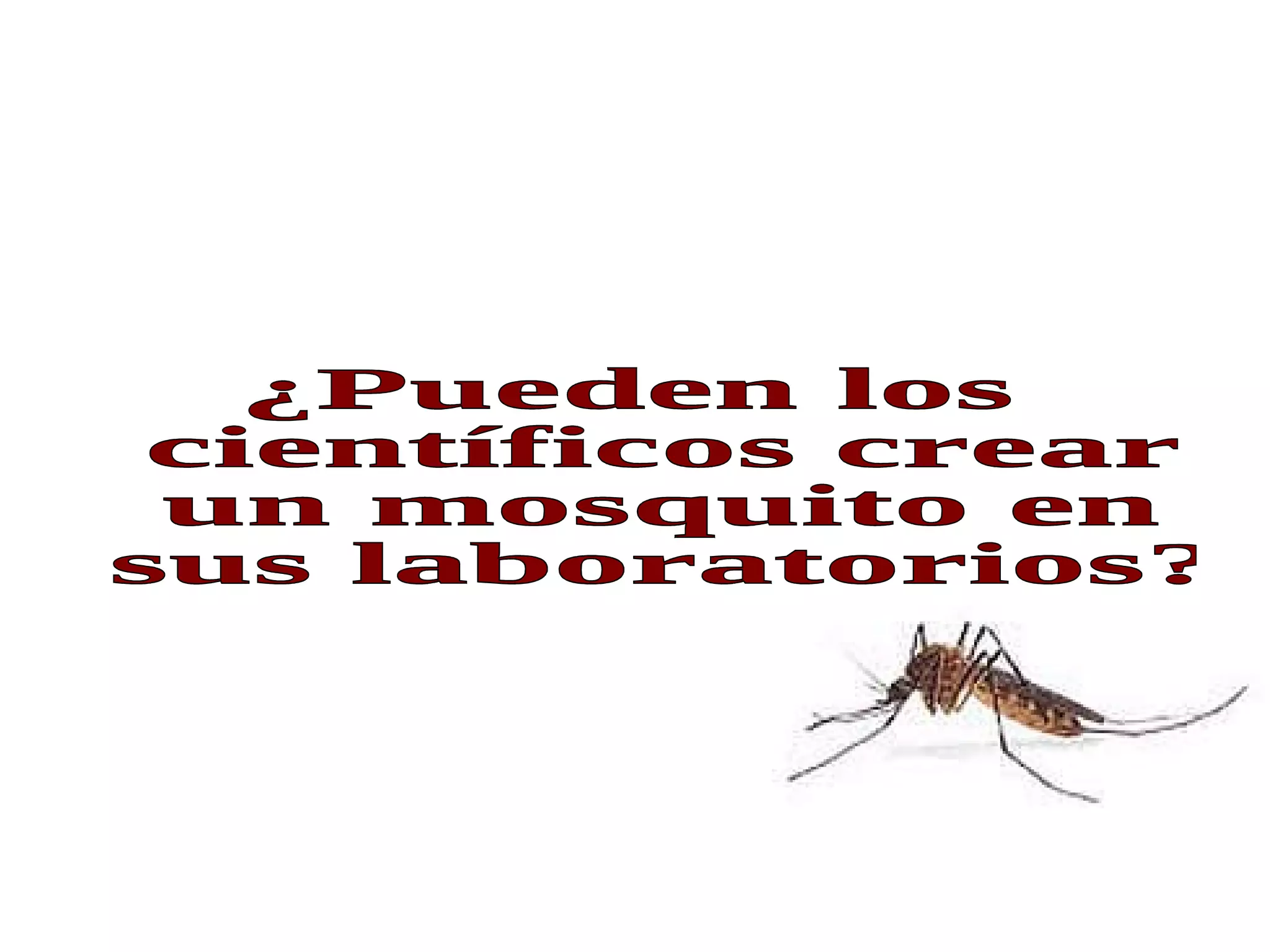 ¿Pueden los científicos crear un mosquito en sus laboratorios? 