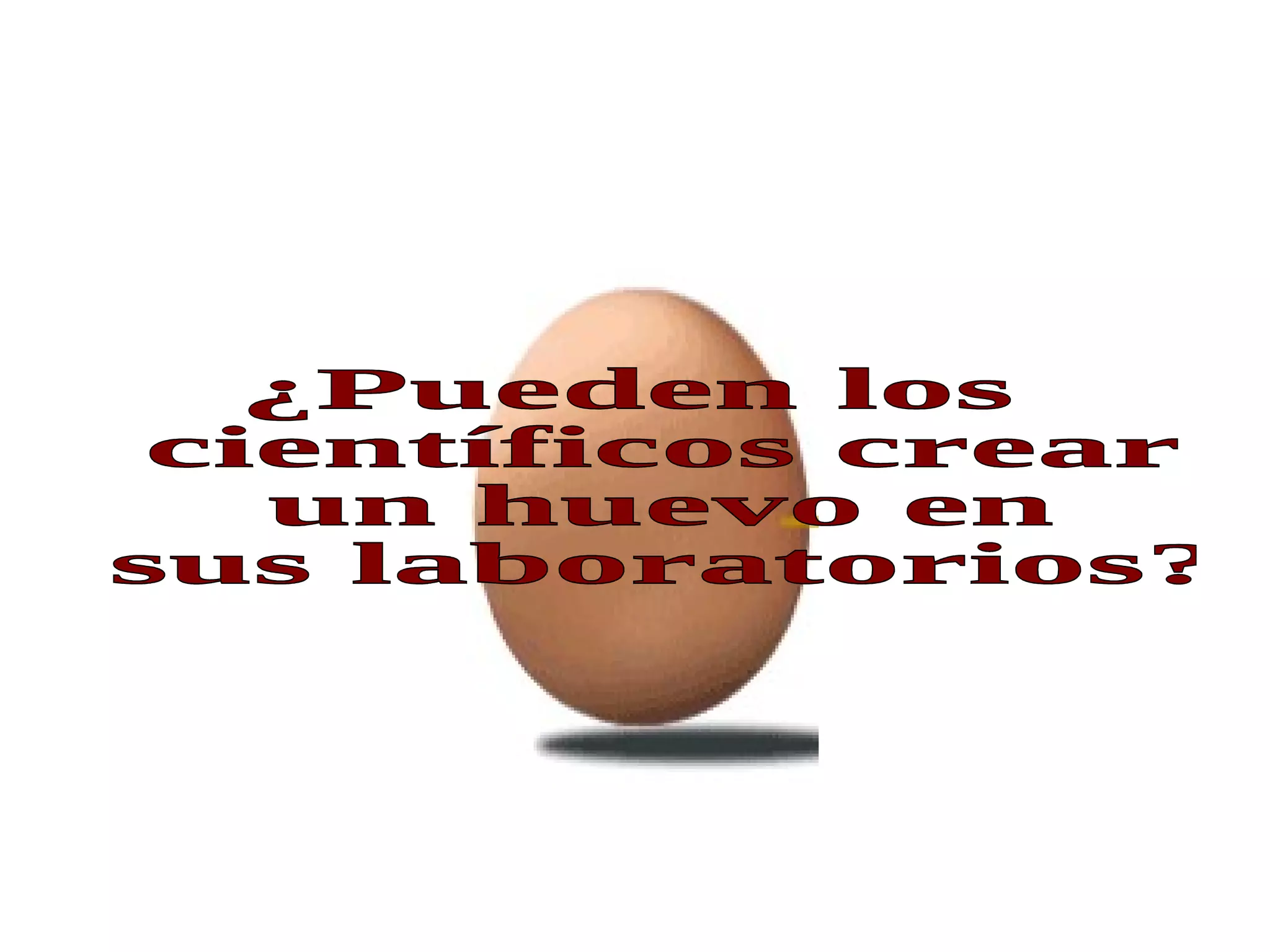 ¿Pueden los científicos crear un huevo en sus laboratorios? 