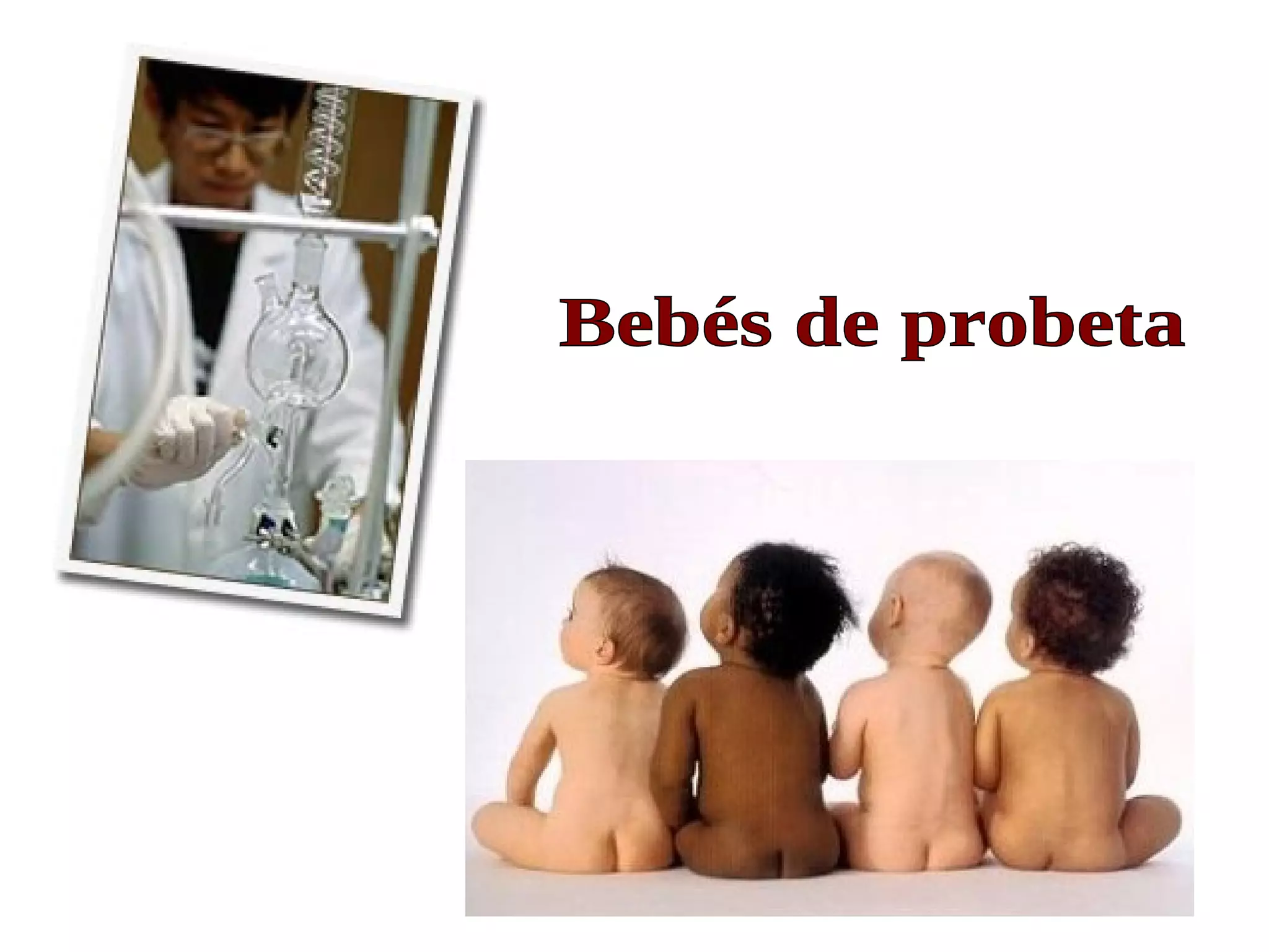 Bebés de probeta  