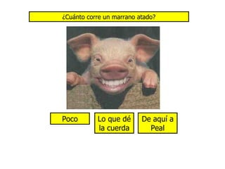 Llevarte libros para leer en casa 