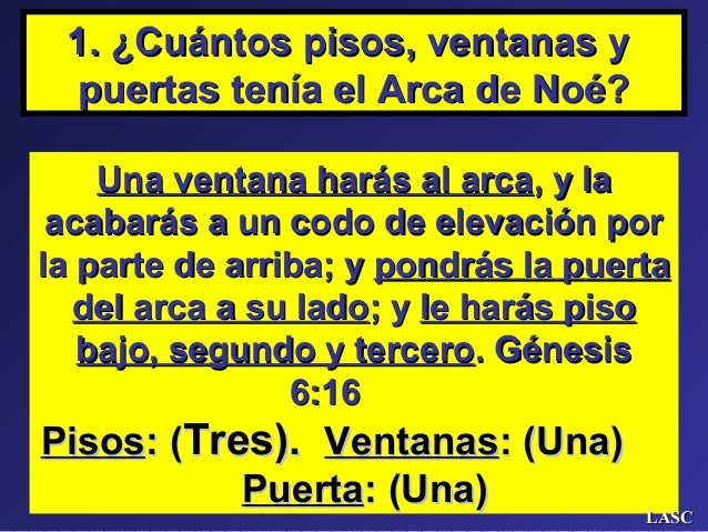preguntas y respuestas bÍblicas sobre noe el arca y el diluvio no