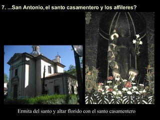 7. ...San Antonio, el santo casamentero y los alfileres? Ermita del santo y altar florido con el santo casamentero 