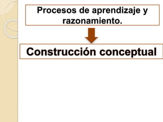 Procesos de aprendizaje y
razonamiento.
 