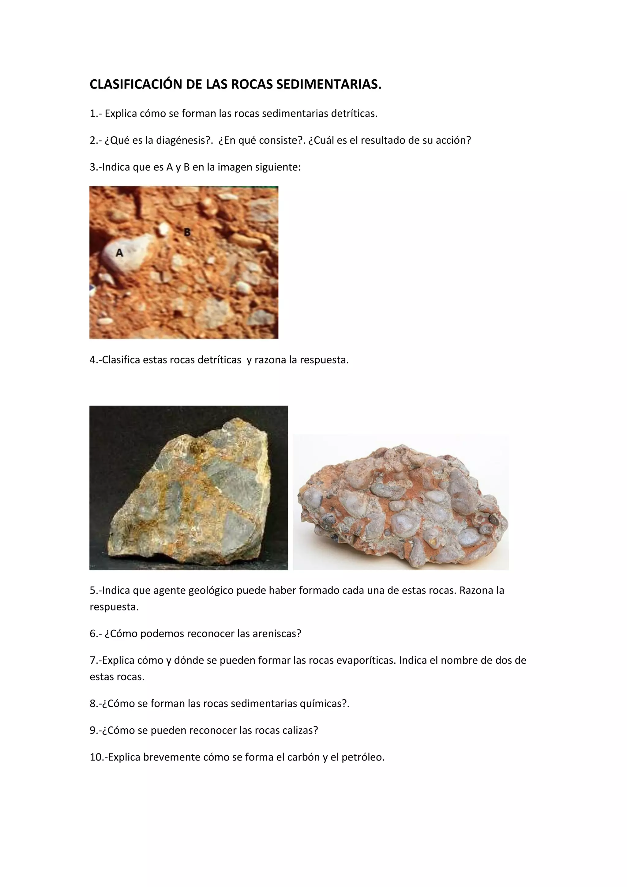 Hoja De Trabajo Sobre Rocas Sedimentarias