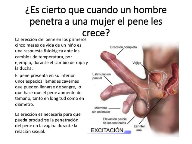 Shimeyl un pequeño miembro