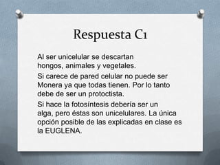 Respuesta C1
Al ser unicelular se descartan
hongos, animales y vegetales.
Si carece de pared celular no puede ser
Monera ya que todas tienen. Por lo tanto
debe de ser un protoctista.
Si hace la fotosíntesis debería ser un
alga, pero éstas son unicelulares. La única
opción posible de las explicadas en clase es
la EUGLENA.
 