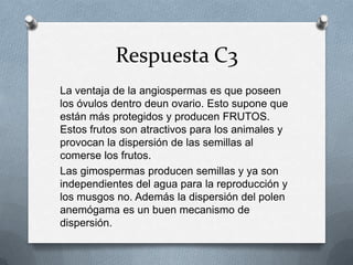 Respuesta C3
La ventaja de la angiospermas es que poseen
los óvulos dentro deun ovario. Esto supone que
están más protegidos y producen FRUTOS.
Estos frutos son atractivos para los animales y
provocan la dispersión de las semillas al
comerse los frutos.
Las gimospermas producen semillas y ya son
independientes del agua para la reproducción y
los musgos no. Además la dispersión del polen
anemógama es un buen mecanismo de
dispersión.
 