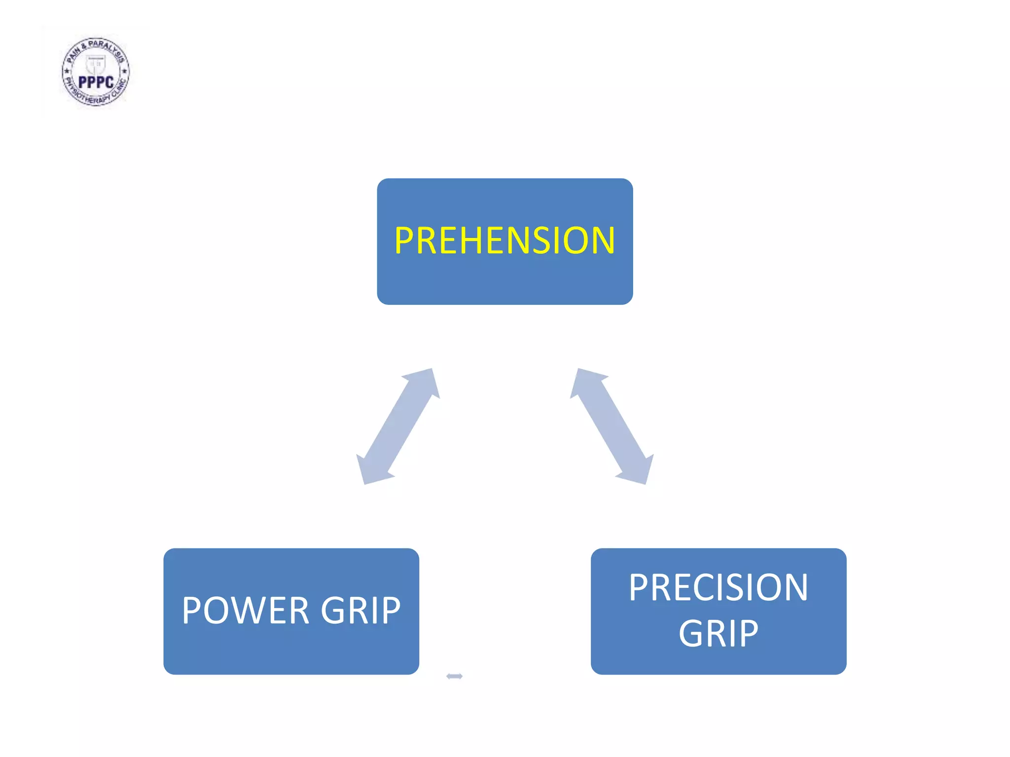 PREHENSION
PRECISION
GRIP
POWER GRIP