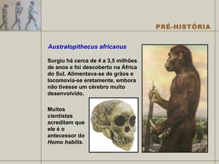 Australopithecus africanus   Surgiu há cerca de 4 a 3,5 milhões de anos e foi descoberto na África do Sul. Alimentava-se de grãos e locomovia-se eretamente, embora não tivesse um cérebro muito desenvolvido.  Muitos cientistas acreditam que ele é o antecessor do  Homo habilis. 