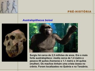Australopithecus boisei Surgiu há cerca de 2,5 milhões de anos. Era o mais forte australopiteco: media cerca de 1,4 metro e pesava 49 quilos (homens) e 1,1 metro e 34 quilos (mulher). Os machos tinham uma crista óssea no crânio. Foram localizados no Quênia e na Tanzânia. 