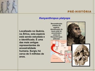 Kenyanthropus platyops   Localizado no Quênia, na África, esta espécie está sendo estudada e e identificada. É uma das mais antigas representantes da ancestralidade humana. Surgiu há cerca de 5 milhões de anos. Reconstituição artística da espécie, identificação do local onde foi encontrada e crânio do Kenyanthropus platuops 