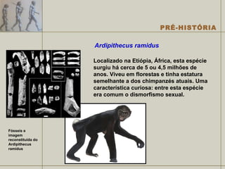 Ardipithecus ramidus  Fósseis e imagem reconstituída do Ardipithecus ramidus Localizado na Etiópia, África, esta espécie surgiu há cerca de 5 ou 4,5 milhões de anos. Viveu em florestas e tinha estatura semelhante a dos chimpanzés atuais. Uma característica curiosa: entre esta espécie era comum o dismorfismo sexual. 