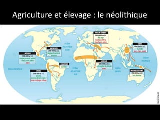 Agriculture et élevage : le néolithique