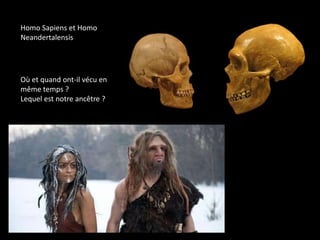 Homo Sapiens et Homo
Neandertalensis
Où et quand ont-il vécu en
même temps ?
Lequel est notre ancêtre ?