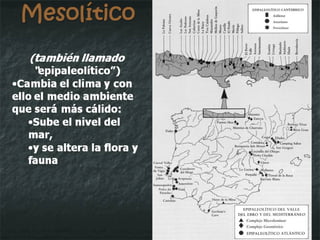 Mesolítico (también llamado “ epipaleolítico”) Cambia el clima y con ello el medio ambiente que será más cálido: Sube el nivel del mar,  y se altera la flora y fauna 