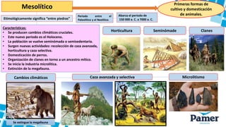 Características:
• Se producen cambios climáticos cruciales.
• Este nuevo periodo es el Holoceno.
• La población se vuelve seminómada o semisedentaria.
• Surgen nuevas actividades: recolección de caza avanzada,
horticultura y caza selectiva.
• Domesticación de perros.
• Organización de clanes en torno a un ancestro mítico.
• Se inicia la industria microlítica.
• Extinción de la megafauna.
Mesolítico
Etimológicamente significa “entre piedras”
Abarca el periodo de
150 000 a. C. a 7000 a. C.
Periodo entre el
Paleolítico y el Neolítico.
Cambios climáticos Caza avanzada y selectiva
Horticultura Seminómade
Microlitismo
Clanes
Primeras formas de
cultivo y domesticación
de animales.
Se extingue la megafauna
 