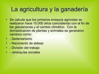 La agricultura y la ganadería Se calcula que los primeros ensayos agrícolas se realizaron hace 10.000 años coincidiendo con el fin de las glaciaciones y el cambio climático.  Con la domesticación de plantas y animales se generaron cambios como: - Sedentarismo - Nacimiento de aldeas - División del trabajo - Jerarquías sociales 