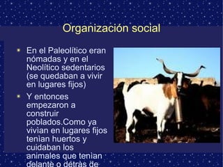 Organización social 
✴ En el Paleolítico eran 
nómadas y en el 
Neolítico sedentarios 
(se quedaban a vivir 
en lugares fijos) 
✴ Y entonces 
empezaron a 
construir 
poblados.Como ya 
vivìan en lugares fijos 
tenìan huertos y 
cuidaban los 
animales que tenìan 
delante o detràs de 
su casa. 
 