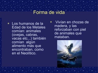 Forma de vida 
✴ Los humanos de la 
Edad de los Metales 
comían: animales 
(ovejas, cabras, 
vacas etc...) también 
comían algùn 
alimento más que 
encontraban, como 
en el Neolítico. 
✴ Vivían en chozas de 
madera, y las 
reforzaban con piel 
de animales que 
mataban. 
 