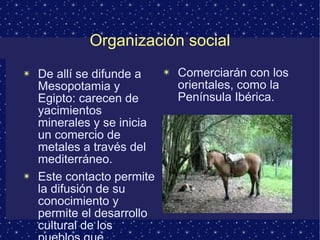Organización social 
✴ De allí se difunde a 
Mesopotamia y 
Egipto: carecen de 
yacimientos 
minerales y se inicia 
un comercio de 
metales a través del 
mediterráneo. 
✴ Este contacto permite 
la difusión de su 
conocimiento y 
permite el desarrollo 
cultural de los 
pueblos,que 
✴ Comerciarán con los 
orientales, como la 
Península Ibérica. 
 
