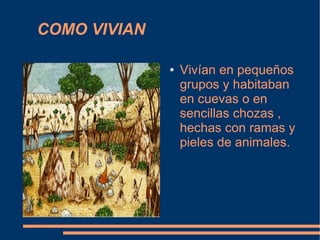 COMO VIVIAN

              ●   Vivían en pequeños
                  grupos y habitaban
                  en cuevas o en
                  sencillas chozas ,
                  hechas con ramas y
                  pieles de animales.
 