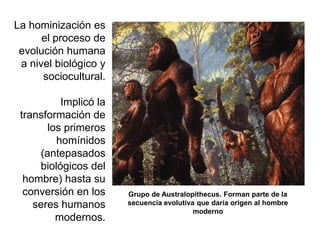La hominización es el proceso de evolución humana a nivel biológico y sociocultural. Implicó la transformación de los primeros homínidos (antepasados  biológicos del hombre) hasta su conversión en los seres humanos modernos. Grupo de Australopithecus. Forman parte de la secuencia evolutiva que daría origen al hombre moderno