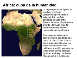 África: cuna de la humanidadLa región que mayor aporte ha brindado al estudio paleoantrológico ha sido el Valle del Rift, una falla geológica ubicada entre Etiopía, Tanzania, Kenia (África Oriental), formada hace 10 millones de años y que dio origen a la sabana africana. Para los especialistas este acontecimiento geológico es el punto de partida para la lucha por la supervivencia entre los seres antropomorfos que habitaban la región, provocando la separación entre póngidos (grandes simios) y homínidos hace unos 5 a 7 millones de años.Valle del Rift