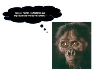 ¿Cuáles fueron los factores que impulsaron la evolución humana?