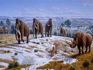 PaleolíticoBase económica:Caza, pesca, recolección de frutos …Forma de vida:Nómada.Viven al aire libre o en cuevas.Inventos:Producción del fuego.Útiles toscos (de piedra o hueso): cuchillos, bifaces …Armas: lanzas, arcos, puntas de flechas …Canoas.