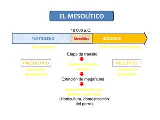 Organización social:Pequeñas tribus familiares.Creencias:Enterramientos, santuarios en el interior de las cuevas.Pinturas con fines mágicos.Las venus: símbolo de fertilidad.Arte:Se inicia en el final del Paleolítico (Paleolítico Superior)Pintura rupestre (sobre roca), en el interior de las cuevas.Pintan, generalmente, animales.