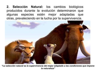 2. Selección Natural: los cambios biológicos producidos durante la evolución determinaron que algunas especies estén mejor adaptadas que otras, prevaleciendo en la lucha por la supervivencia. “La selección natural es la supervivencia del mejor adaptado a las condiciones que impone la naturaleza”