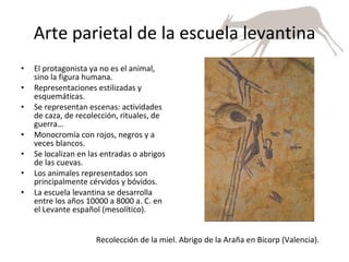 Arte parietal de la escuela levantina El protagonista ya no es el animal, sino la figura humana. Representaciones estilizadas y esquemáticas. Se representan escenas: actividades de caza, de recolección, rituales, de guerra… Monocromía con rojos, negros y a veces blancos. Se localizan en las entradas o abrigos de las cuevas. Los animales representados son principalmente cérvidos y bóvidos. La escuela levantina se desarrolla entre los años 10000 a 8000 a. C. en el Levante español (mesolítico). Recolección de la miel. Abrigo de la Araña en Bicorp (Valencia). 