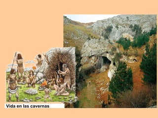 Vida en las cavernas 