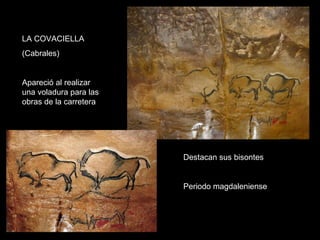 LA COVACIELLA (Cabrales) Apareció al realizar una voladura para las obras de la carretera Destacan sus bisontes Periodo magdaleniense 