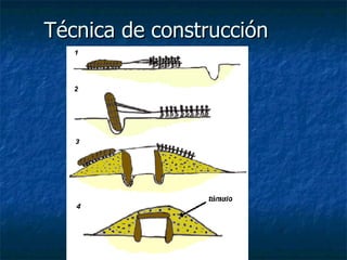 Técnica de construcción 